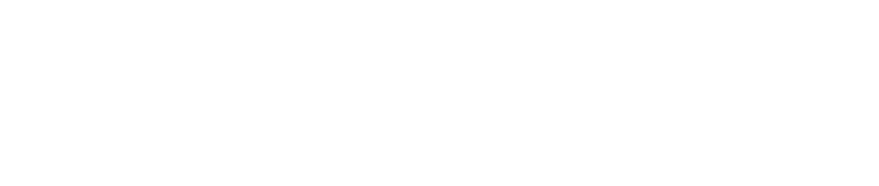 qliro payments